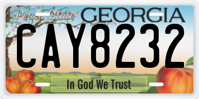 GA license plate CAY8232