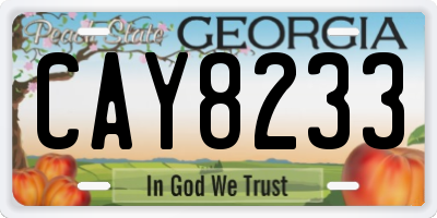 GA license plate CAY8233