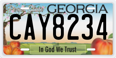 GA license plate CAY8234