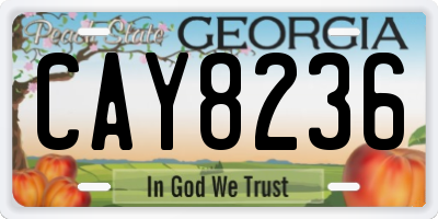 GA license plate CAY8236