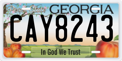 GA license plate CAY8243
