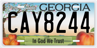 GA license plate CAY8244