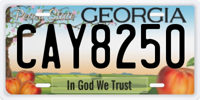 GA license plate CAY8250