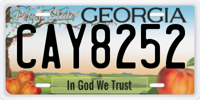 GA license plate CAY8252