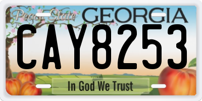 GA license plate CAY8253