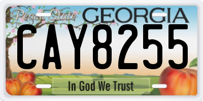 GA license plate CAY8255