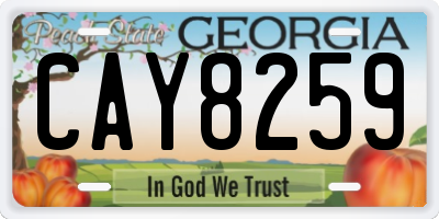GA license plate CAY8259