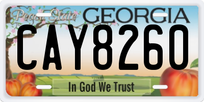 GA license plate CAY8260