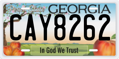 GA license plate CAY8262