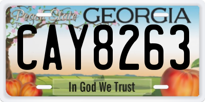 GA license plate CAY8263