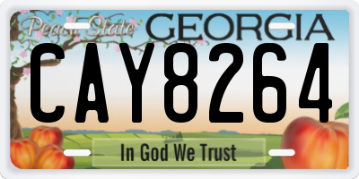 GA license plate CAY8264