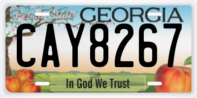 GA license plate CAY8267
