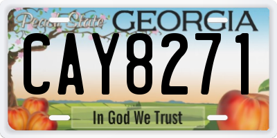 GA license plate CAY8271