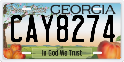 GA license plate CAY8274