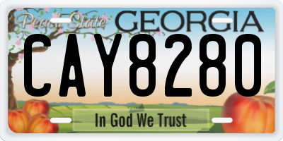 GA license plate CAY8280
