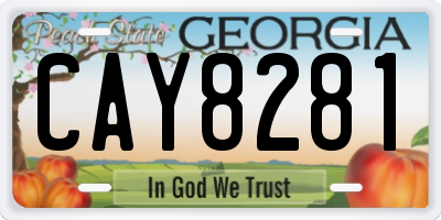 GA license plate CAY8281