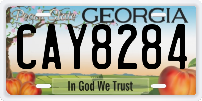 GA license plate CAY8284