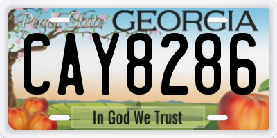 GA license plate CAY8286