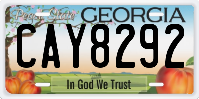 GA license plate CAY8292