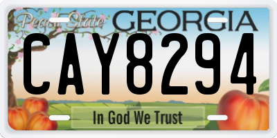 GA license plate CAY8294