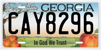 GA license plate CAY8296