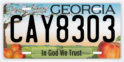 GA license plate CAY8303