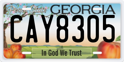 GA license plate CAY8305