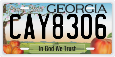 GA license plate CAY8306