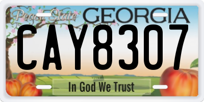 GA license plate CAY8307