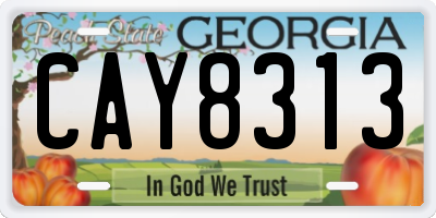 GA license plate CAY8313