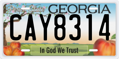 GA license plate CAY8314