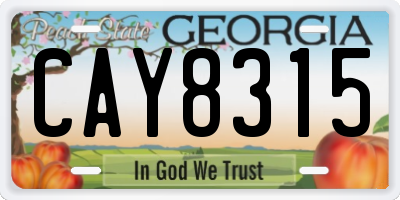 GA license plate CAY8315