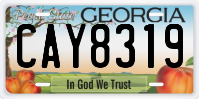 GA license plate CAY8319