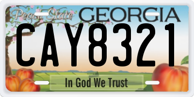 GA license plate CAY8321