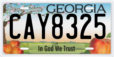 GA license plate CAY8325