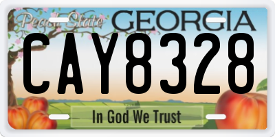 GA license plate CAY8328