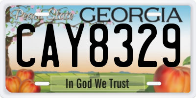 GA license plate CAY8329