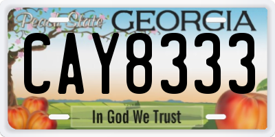 GA license plate CAY8333