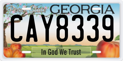 GA license plate CAY8339