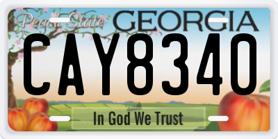 GA license plate CAY8340