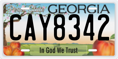 GA license plate CAY8342