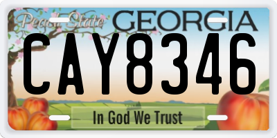 GA license plate CAY8346