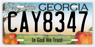 GA license plate CAY8347