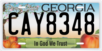 GA license plate CAY8348