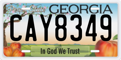 GA license plate CAY8349