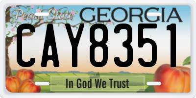 GA license plate CAY8351