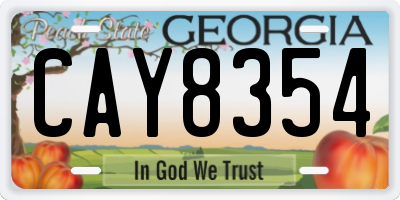 GA license plate CAY8354