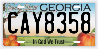 GA license plate CAY8358