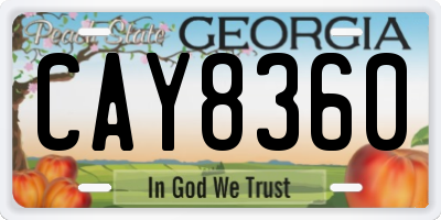 GA license plate CAY8360