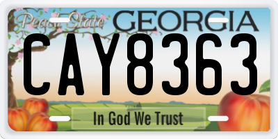 GA license plate CAY8363